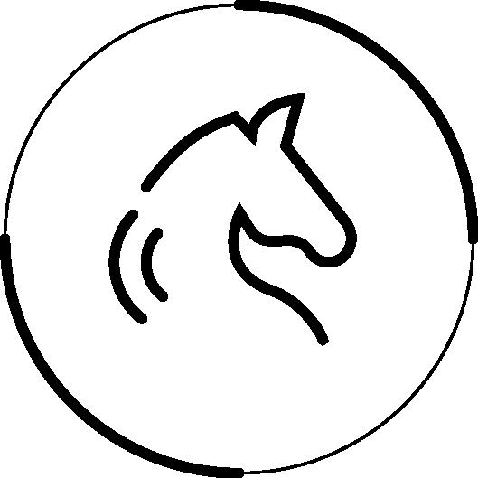 ikona konia